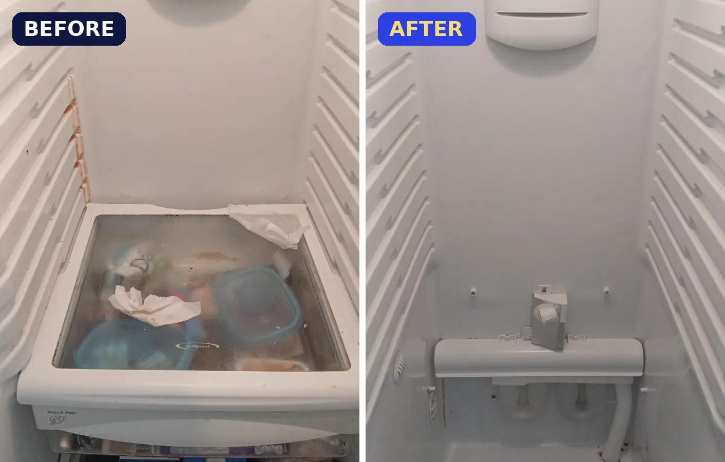 Inside the fridge: before and after