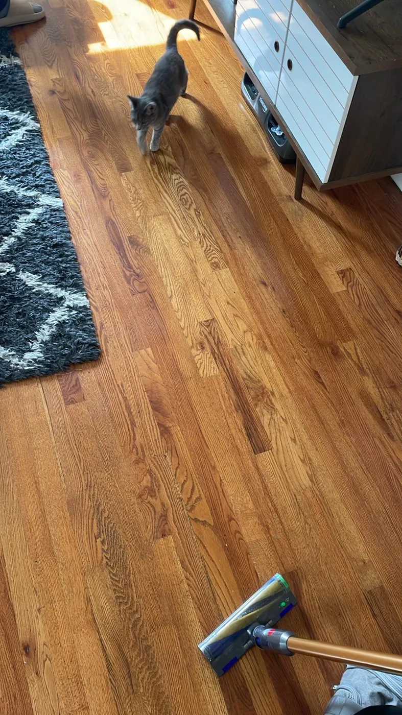 Our team mopping hardwood floors